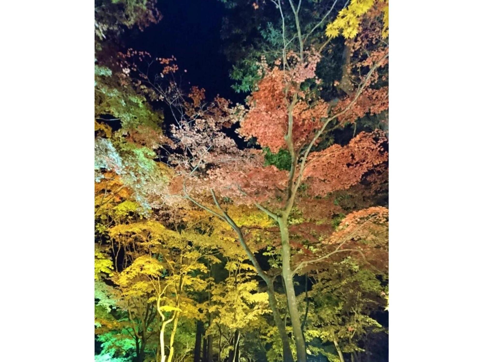 Hotel Tetora Yunokawaonsen - Vacation Stay 30623V Хакодате Экстерьер фото